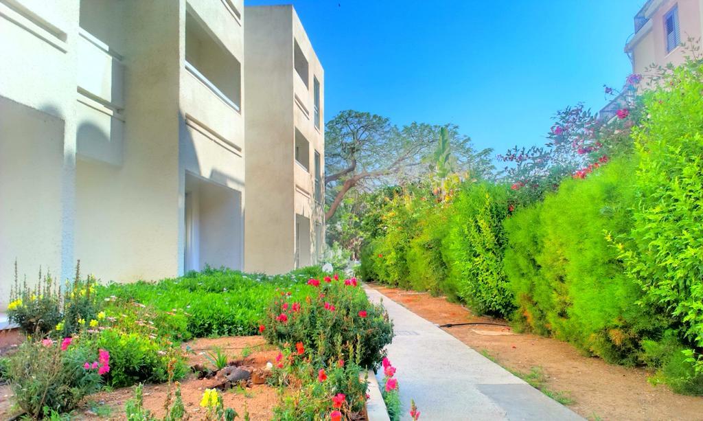 Daphne Hotel Apartments (Adults Only) Paphos Bagian luar foto